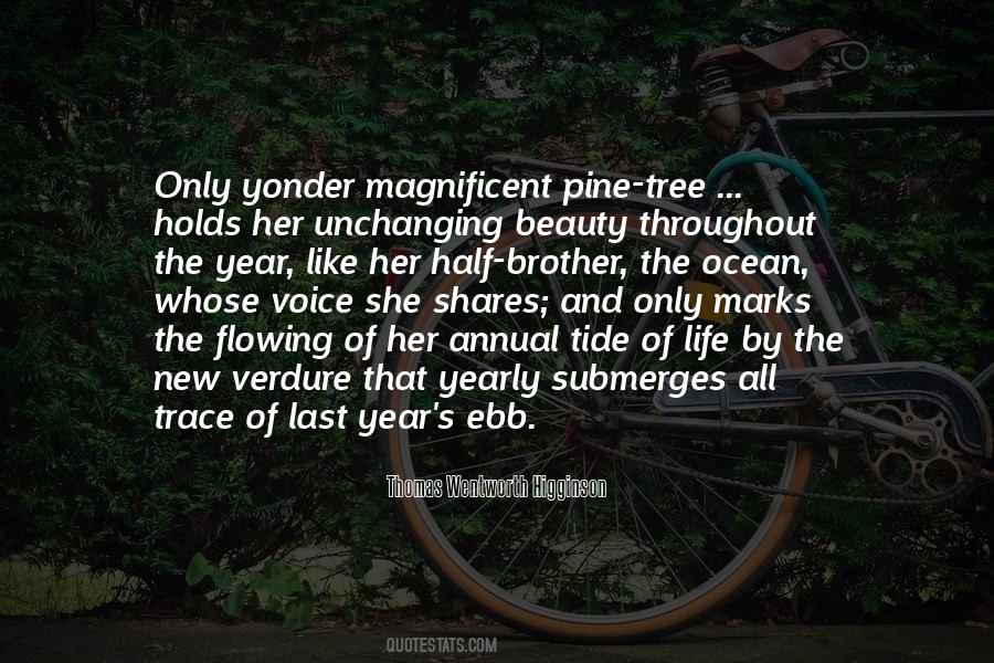 Magnificent Beauty Quotes #1620483