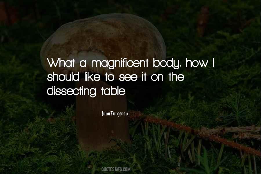 Magnificent Beauty Quotes #1706833