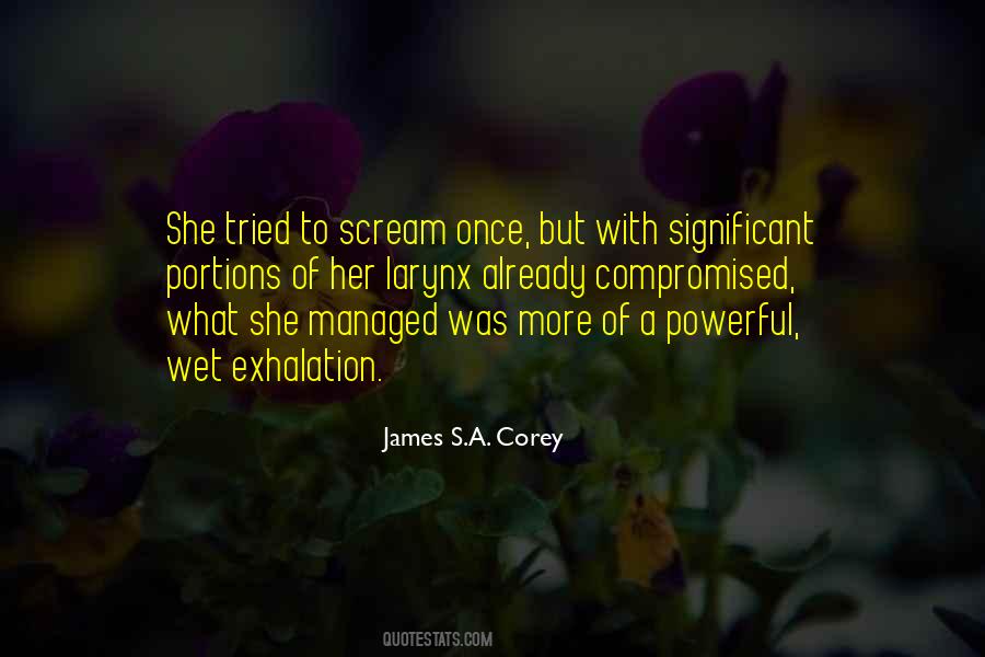 Powerful Voice Quotes #1435370