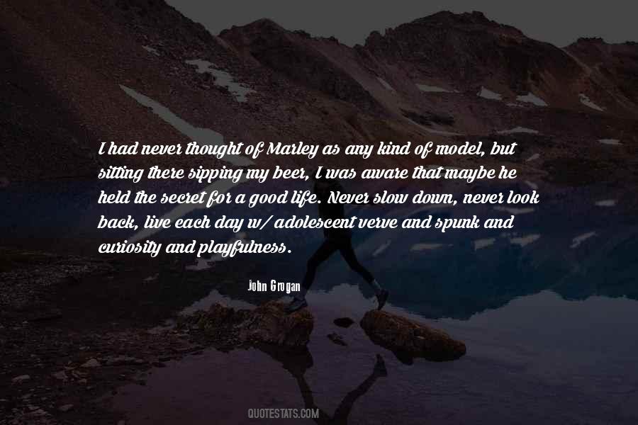 Live For Each Day Quotes #1513989