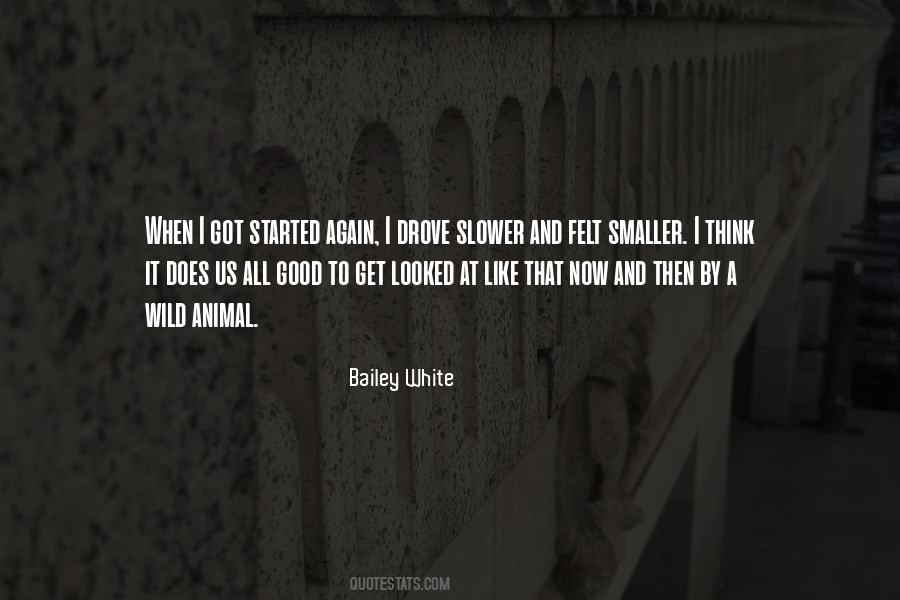 I Like Us Quotes #396254