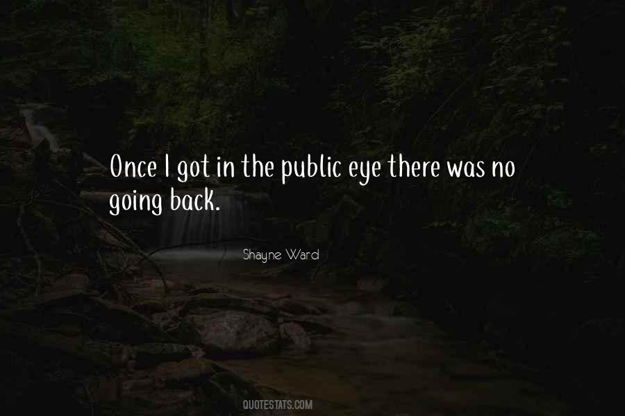 In The Public Eye Quotes #848973