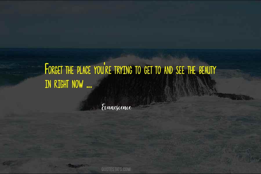 Beauty In Quotes #1426428