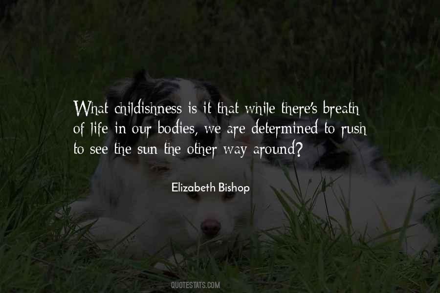 See The Sun Quotes #795960