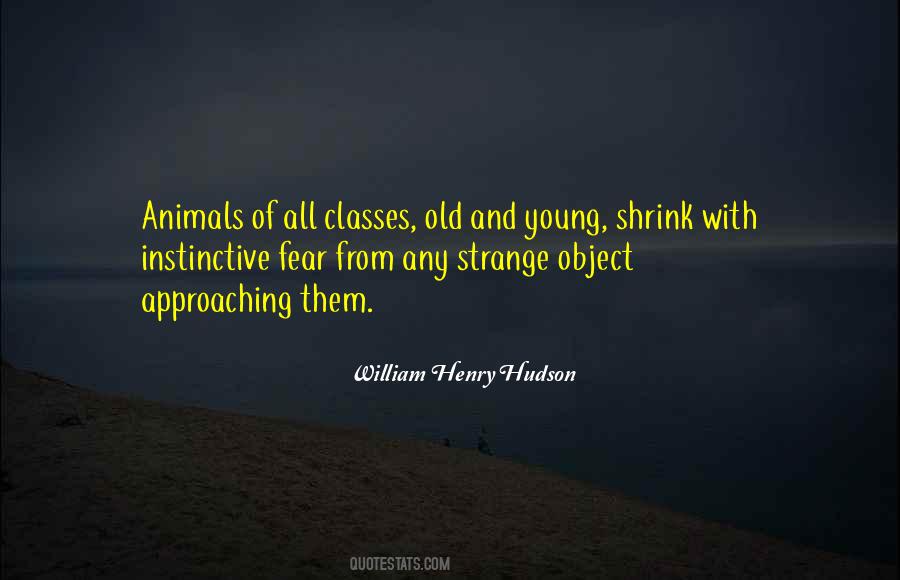 Strange Object Quotes #1059092