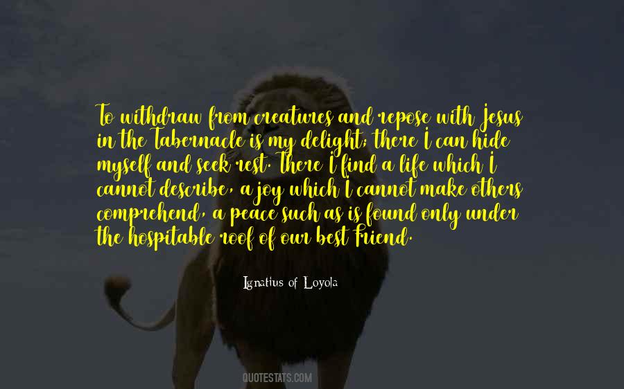 I Seek Peace Quotes #530635