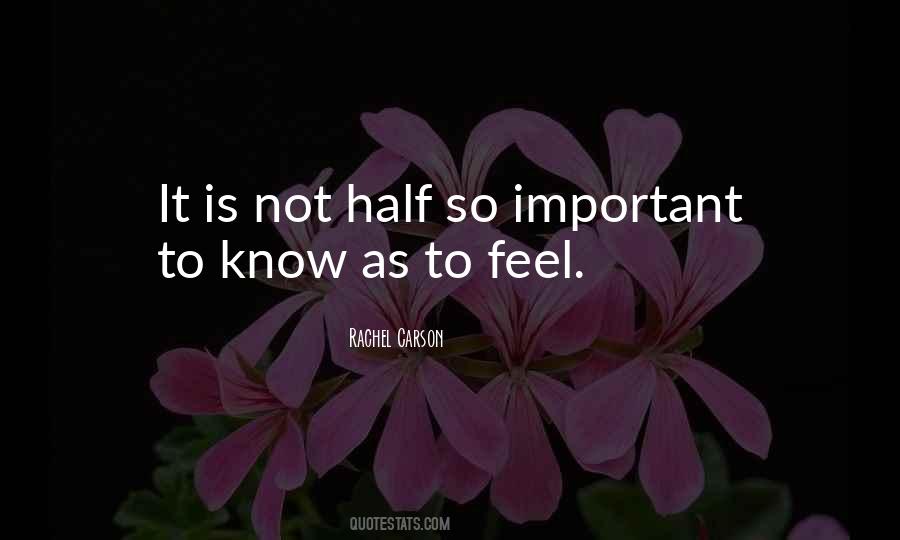 Not As Important Quotes #133233