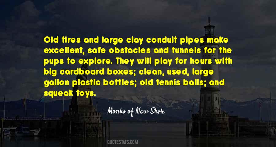 Clean And Safe Quotes #270491