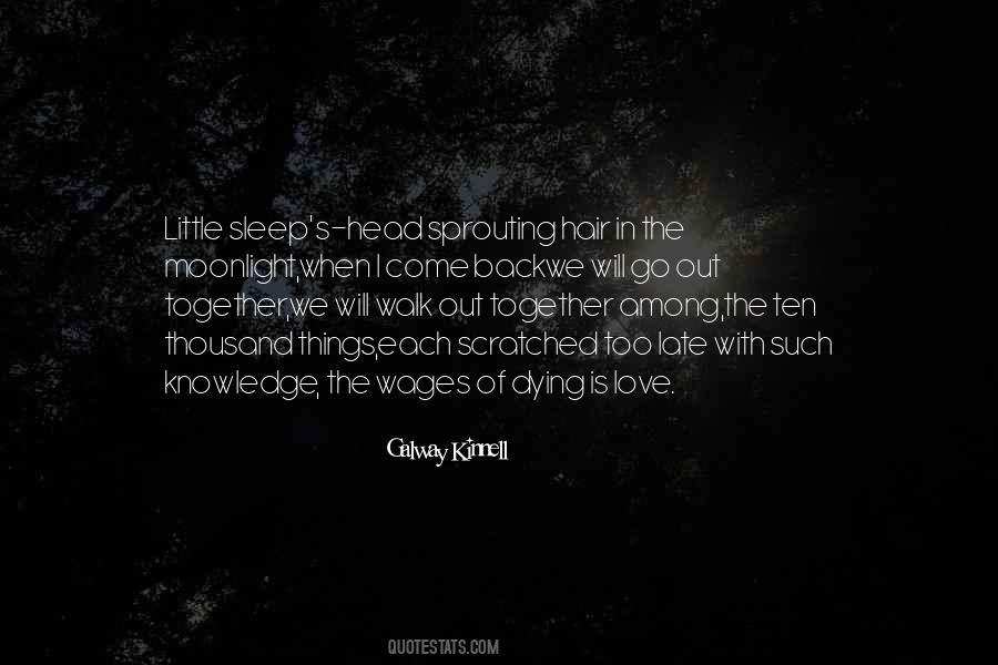 Death Sleep Quotes #314507