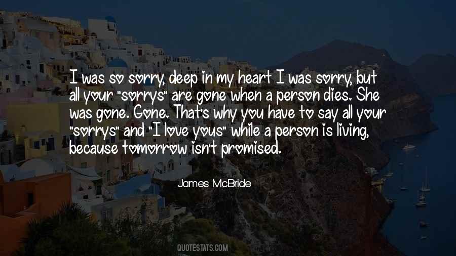 Sorry And I Love You Quotes #1342824