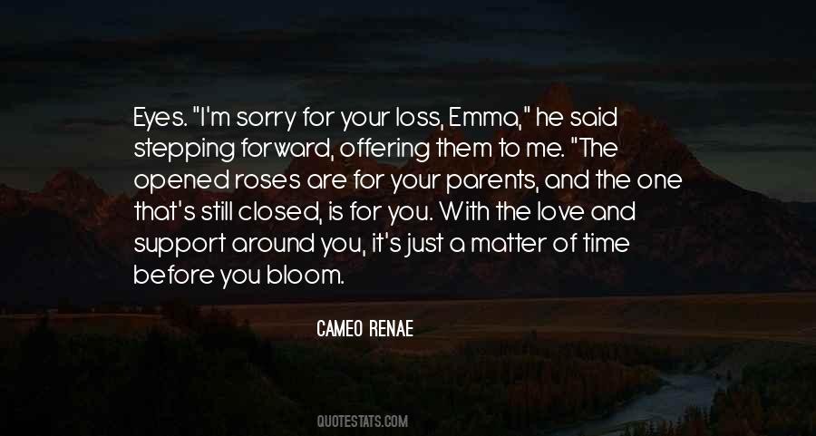 Sorry And I Love You Quotes #261138