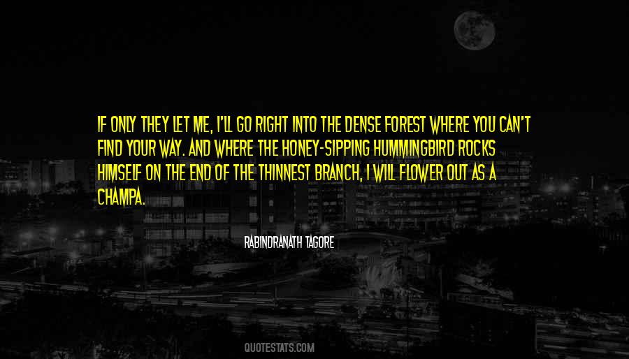 Where Can I Find Quotes #951715