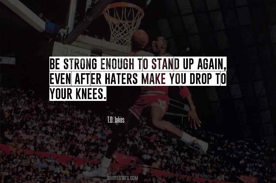 Quotes About You Haters #229849