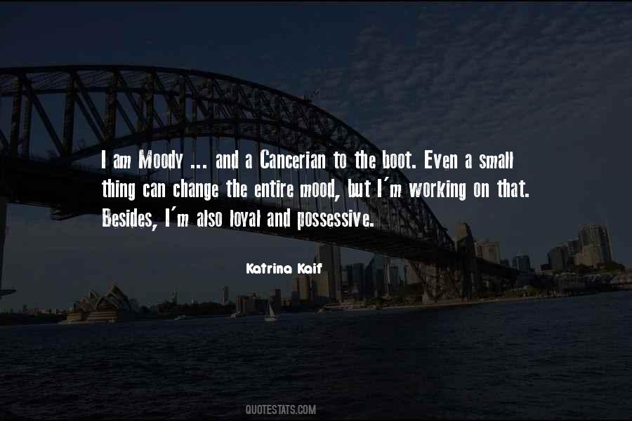 I Can Be Moody Quotes #441011