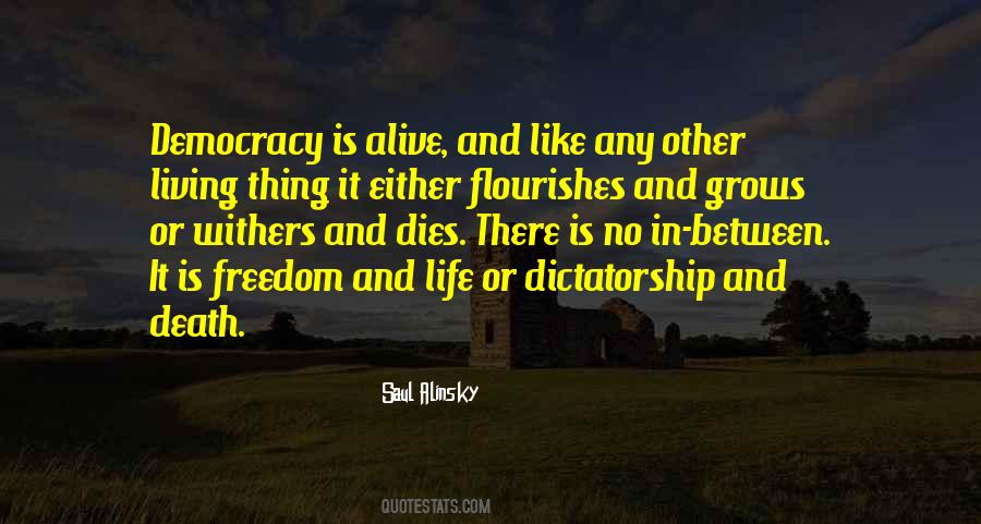 Freedom Democracy Quotes #128083