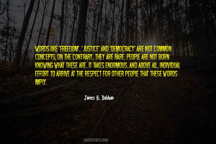 Freedom Democracy Quotes #395269