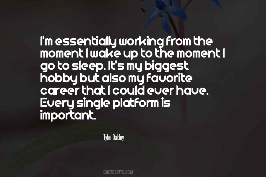 Career Is Important Quotes #1107186