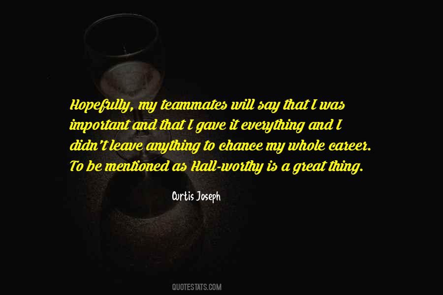 Career Is Important Quotes #773597