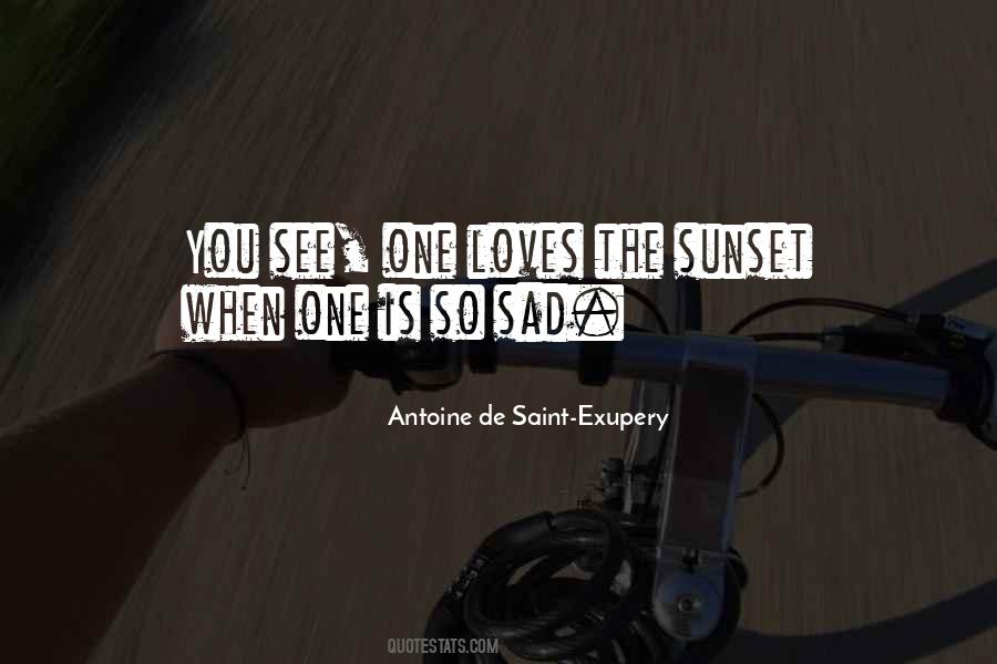 See You Sad Quotes #255324