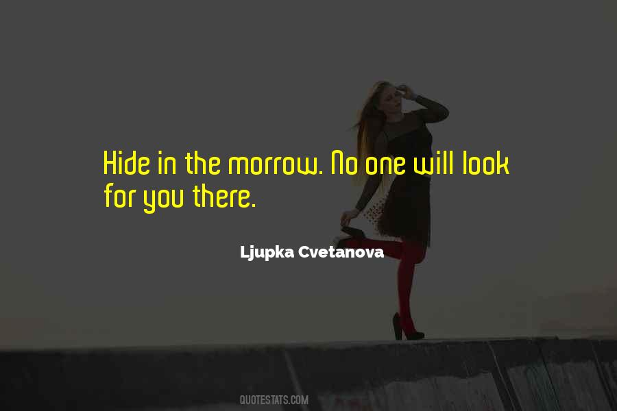 Run Away And Hide Quotes #1139358