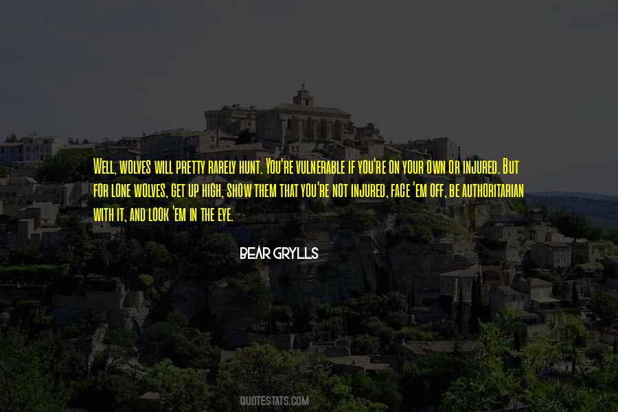 Not On Your Own Quotes #1062239