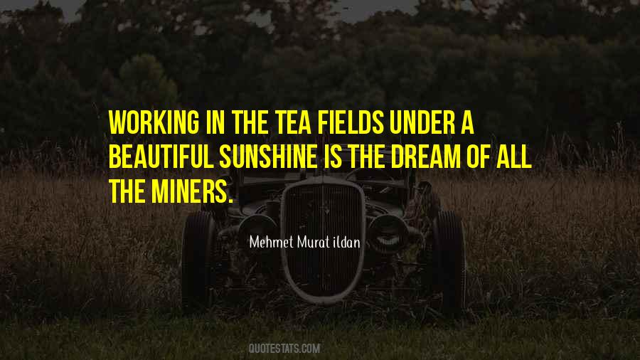 Beautiful Sunshine Quotes #1303517