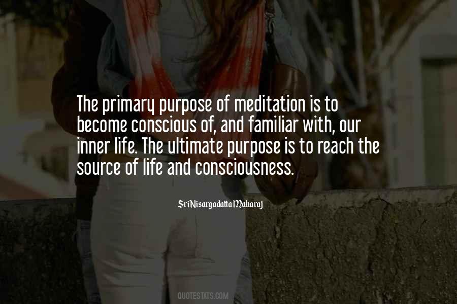 Is A Primary Source Quotes #38075