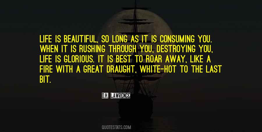 Hot As Fire Quotes #1741278