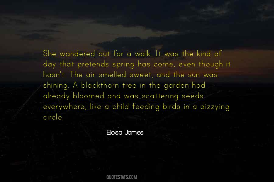 2 Birds Quotes #44675