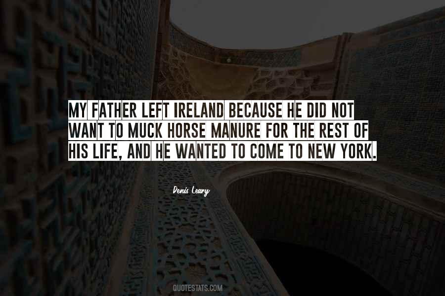 New Horse Quotes #1032512