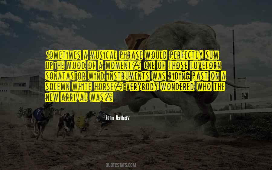 New Horse Quotes #84099