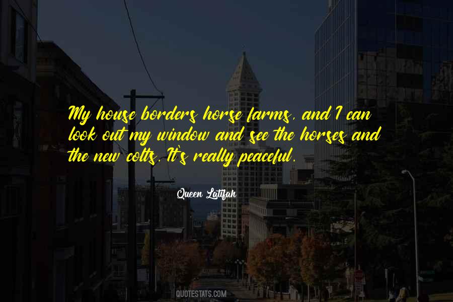 New Horse Quotes #980879