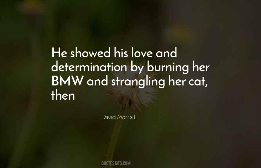 Love Cat Quotes #1367306