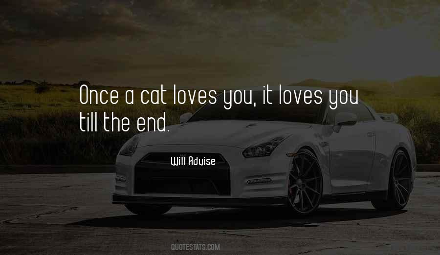 Love Cat Quotes #139026