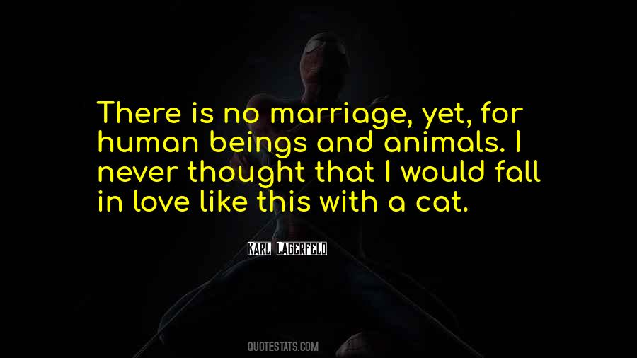 Love Cat Quotes #285209