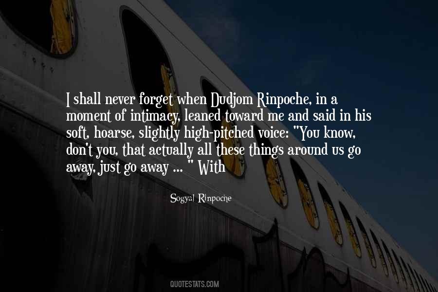 Pride Cometh Before The Fall Quotes #1509710