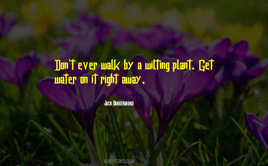 Can Walk On Water Quotes #104854