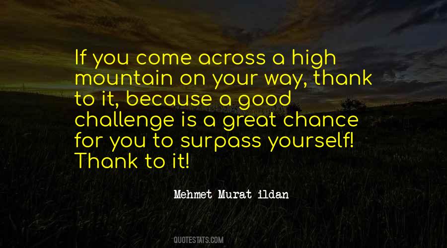 Thank You For The Chance Quotes #1547239