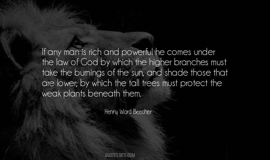 Branches Of Trees Quotes #1652492