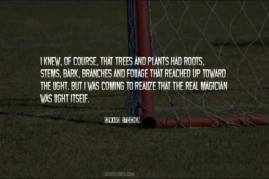 Branches Of Trees Quotes #1764474