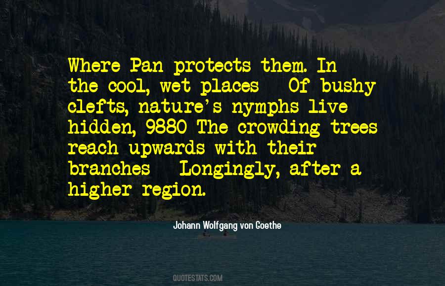 Branches Of Trees Quotes #941041