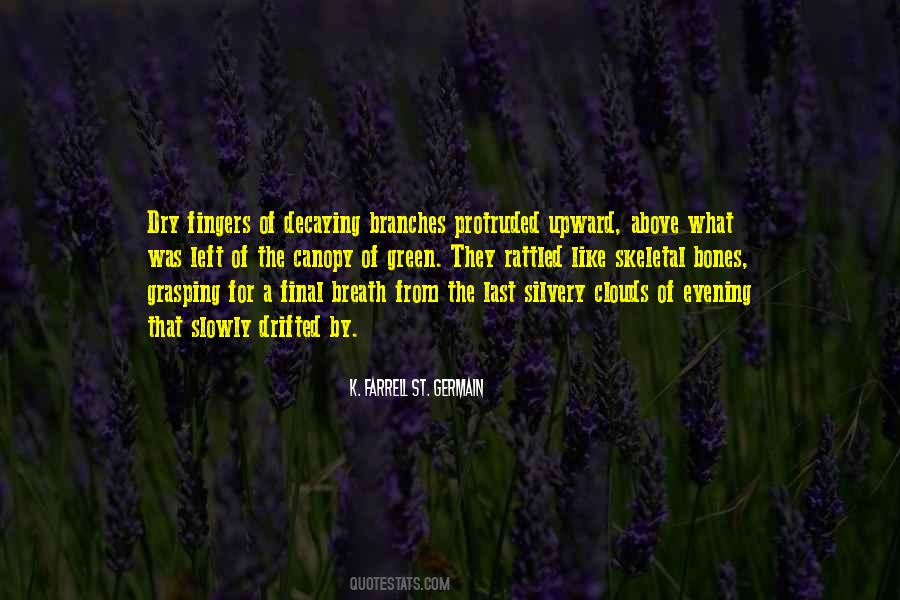 Branches Of Trees Quotes #990851