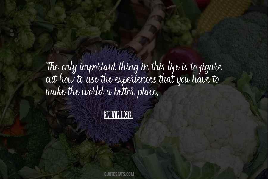 How To Make The World A Better Place Quotes #757520