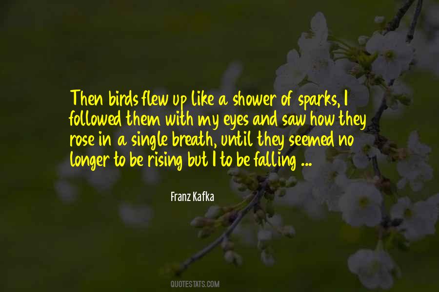 Be A Rose Quotes #231381