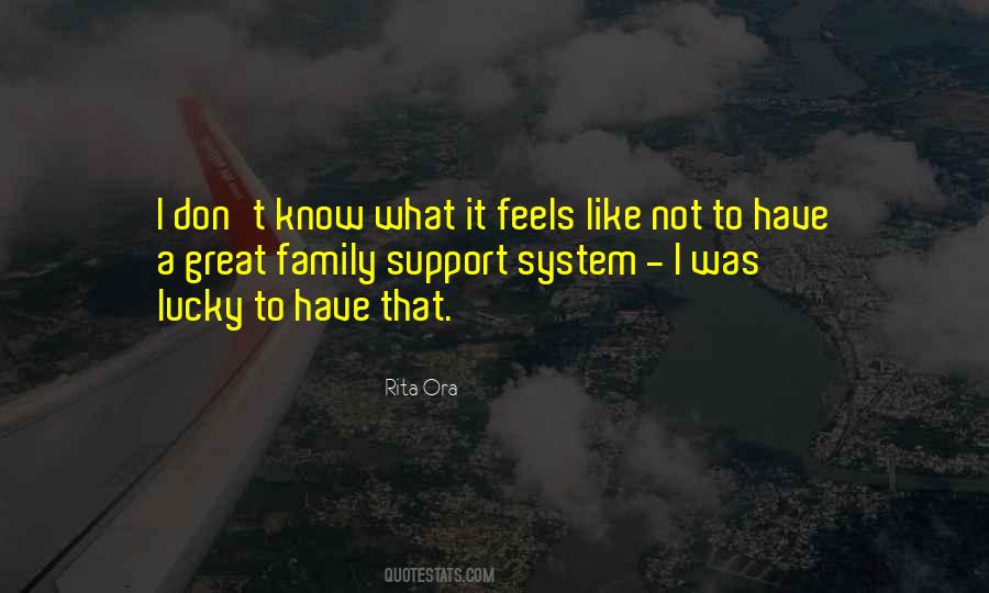 Quotes About A Support System #1365520