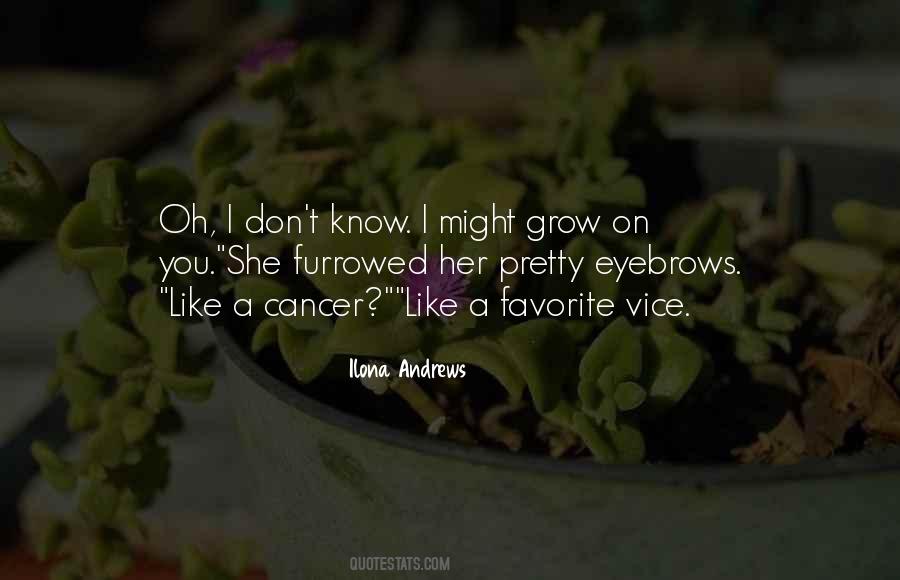 Quotes About Her Eyebrows #901337