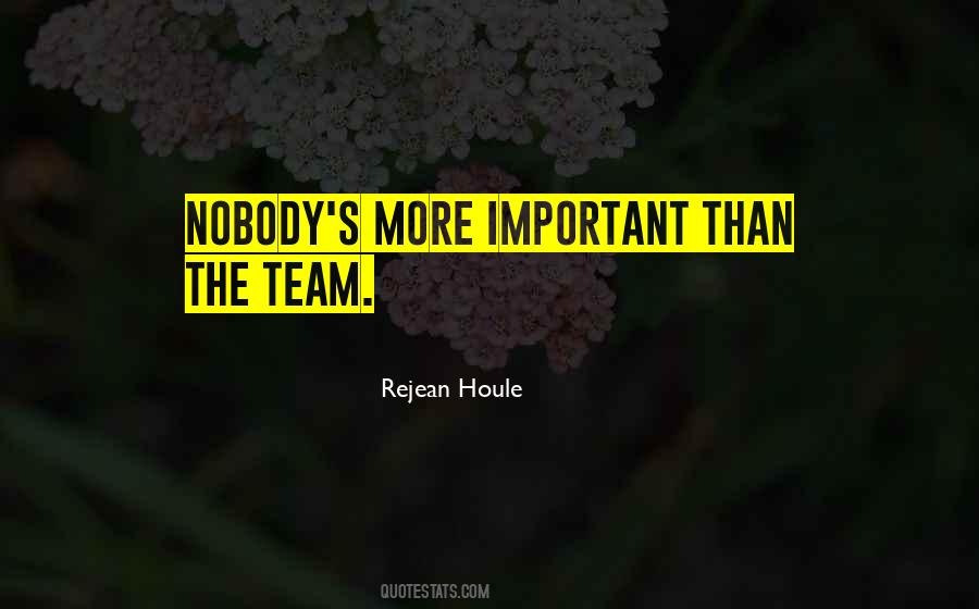 Teamwork Is Important Quotes #1102396