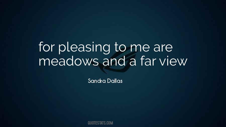Far View Quotes #1320106
