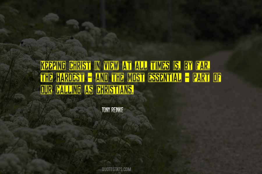 Far View Quotes #1399649