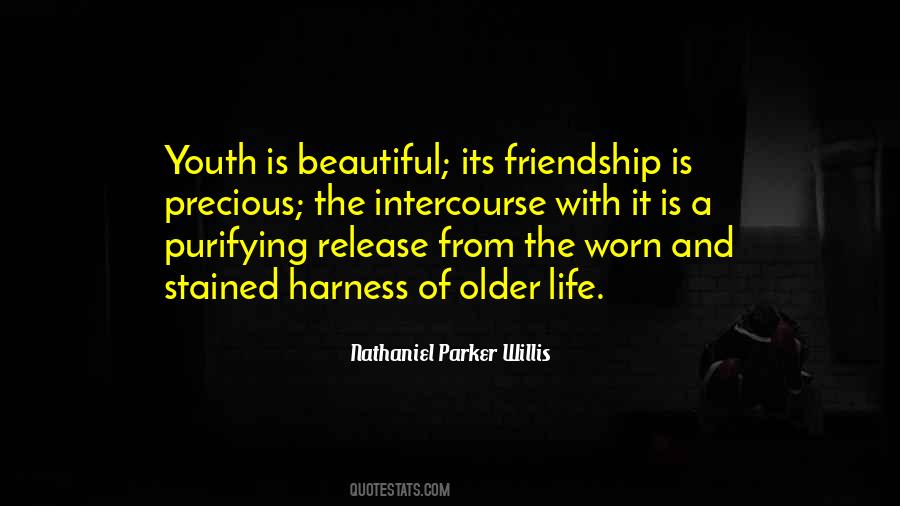 Friendship Is A Beautiful Thing Quotes #122294